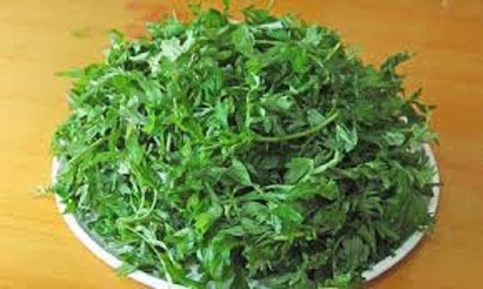 Điều trị buồng trứng đa nang băng ngải cứu